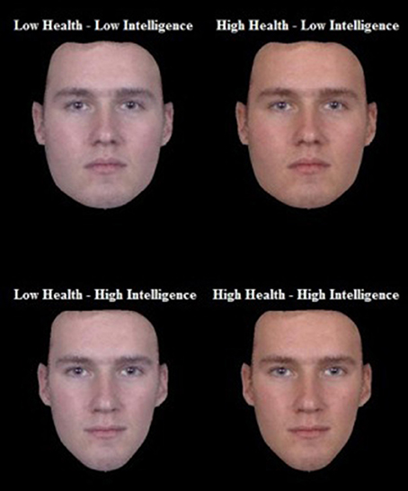 Pobledlé lídry lidé nechtějí, zjistila studie. Ze čtyř tváří účastníci výzkumu prvořadě volili zdravě vypadající obličeje (vpravo), až druhořadě inteligentně vypadající (dole).  Foto: Frontiersin.org