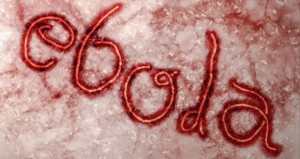 Virus ebola byl poprvé zjištěn už před téměř 40 lety, Foto