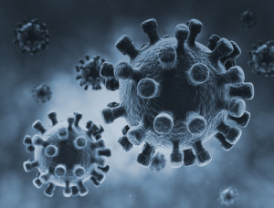 FOTO: To je on, virus MERS osobně. V KLDR prý mají lék. Ilustrační foto: Wikipedia