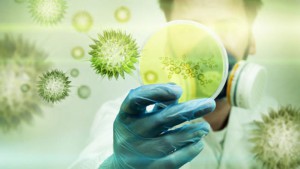 Nová antibiotika by mohla obstojně zafungovat třeba proti zabijáckým multirezistentním bakteriím. Ilustrační foto: Telemundo47.com